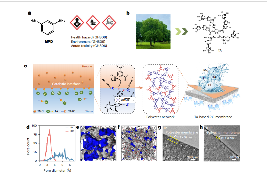 苏州大学靳健教授、朱玉长教授Nat. Water：可持续的聚酯薄膜用于海水淡化！