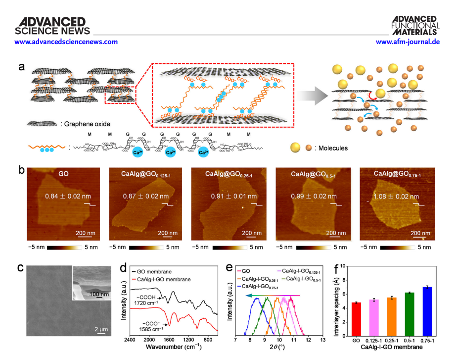 苏州大学靳健教授、中科院纳米所高守建副研究员AFM：亚埃级精度石墨烯氧化物膜，实现高选择性分子筛分